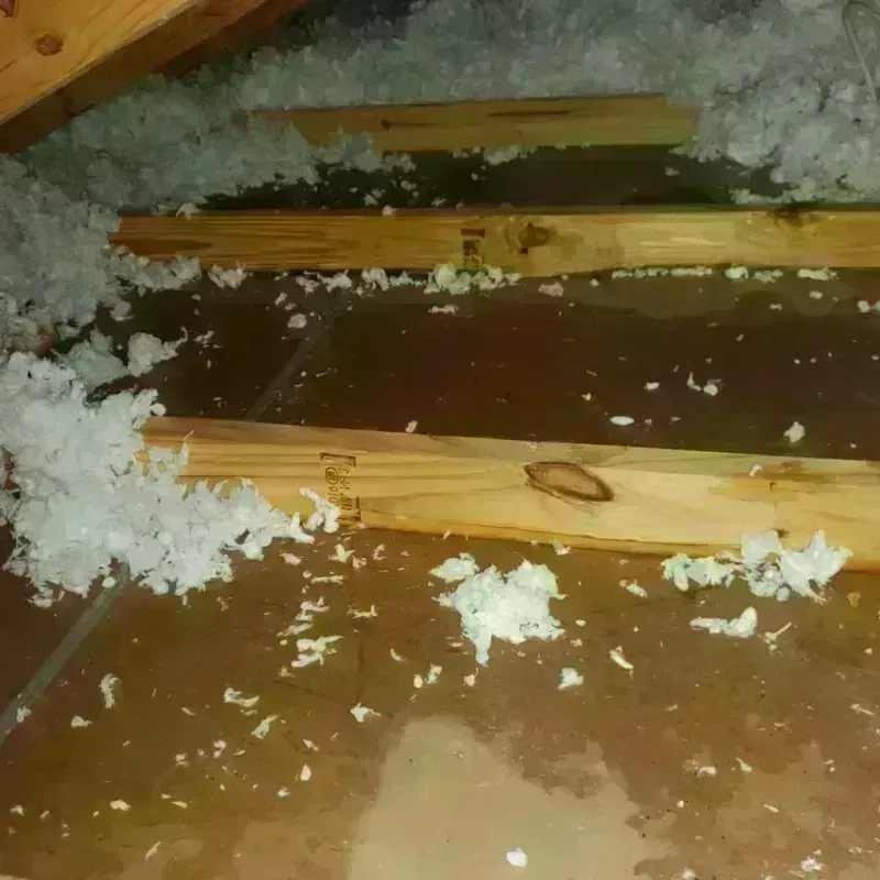 Attic Water Damage in Santa Clara, UT