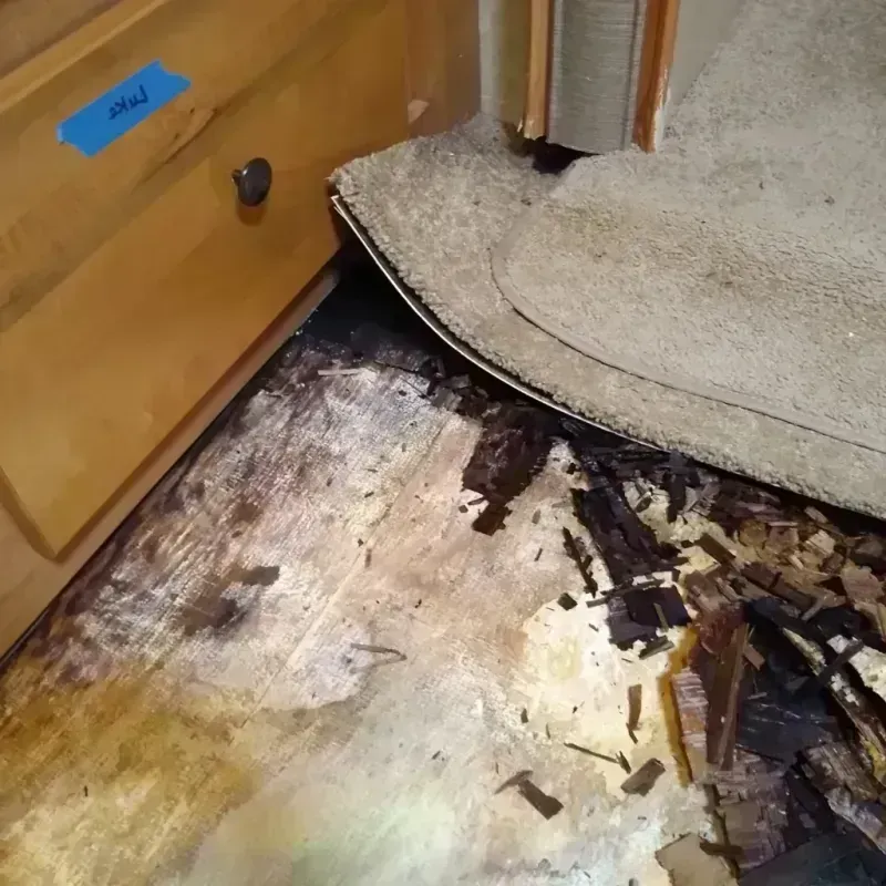 Wood Floor Water Damage in Santa Clara, UT